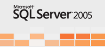 Microsoft SQL Server 2005 Logo